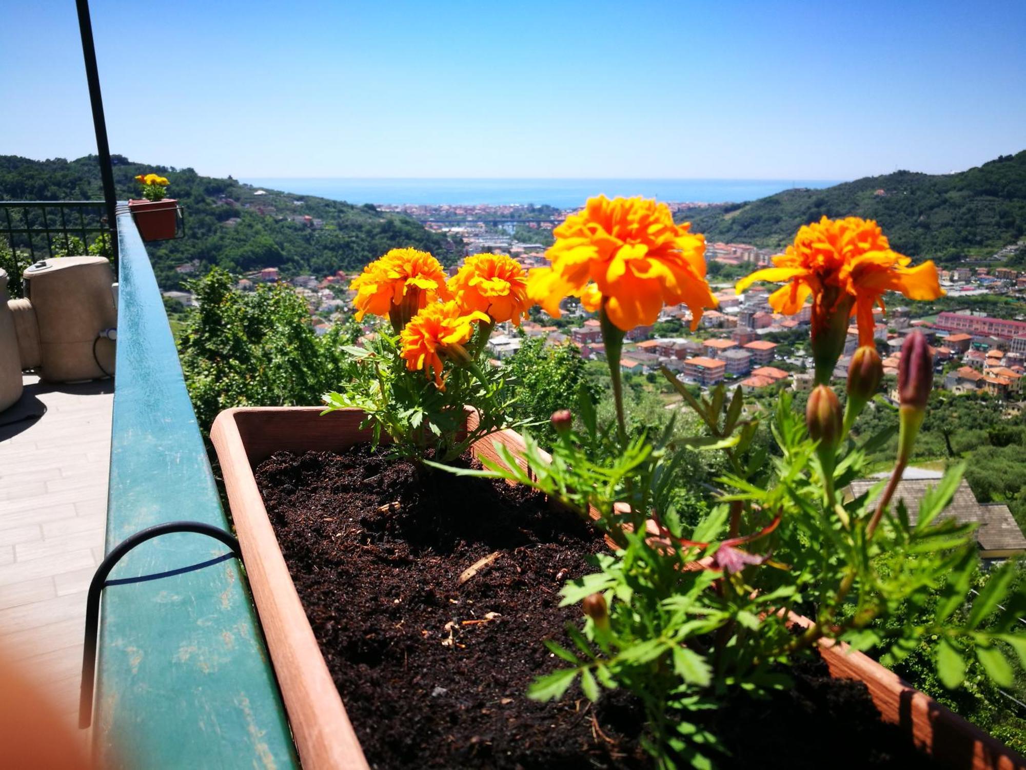 La Terrazza Sui Fieschi Cogorno